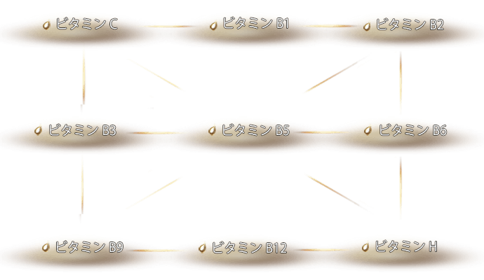 水溶性必須ビタミン9 種類を「高配合」